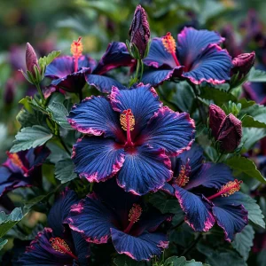 Гибискус Голден Глоу купить по цене от 259р. в интернет-магазине «Посадика» с доставкой почтой в в Кировске и по всей России – [изображение №1].