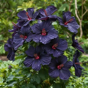 Гибискус Мэджик Момент купить по цене от 699р. в интернет-магазине «Посадика» с доставкой почтой в в Кировске и по всей России – [изображение №1].